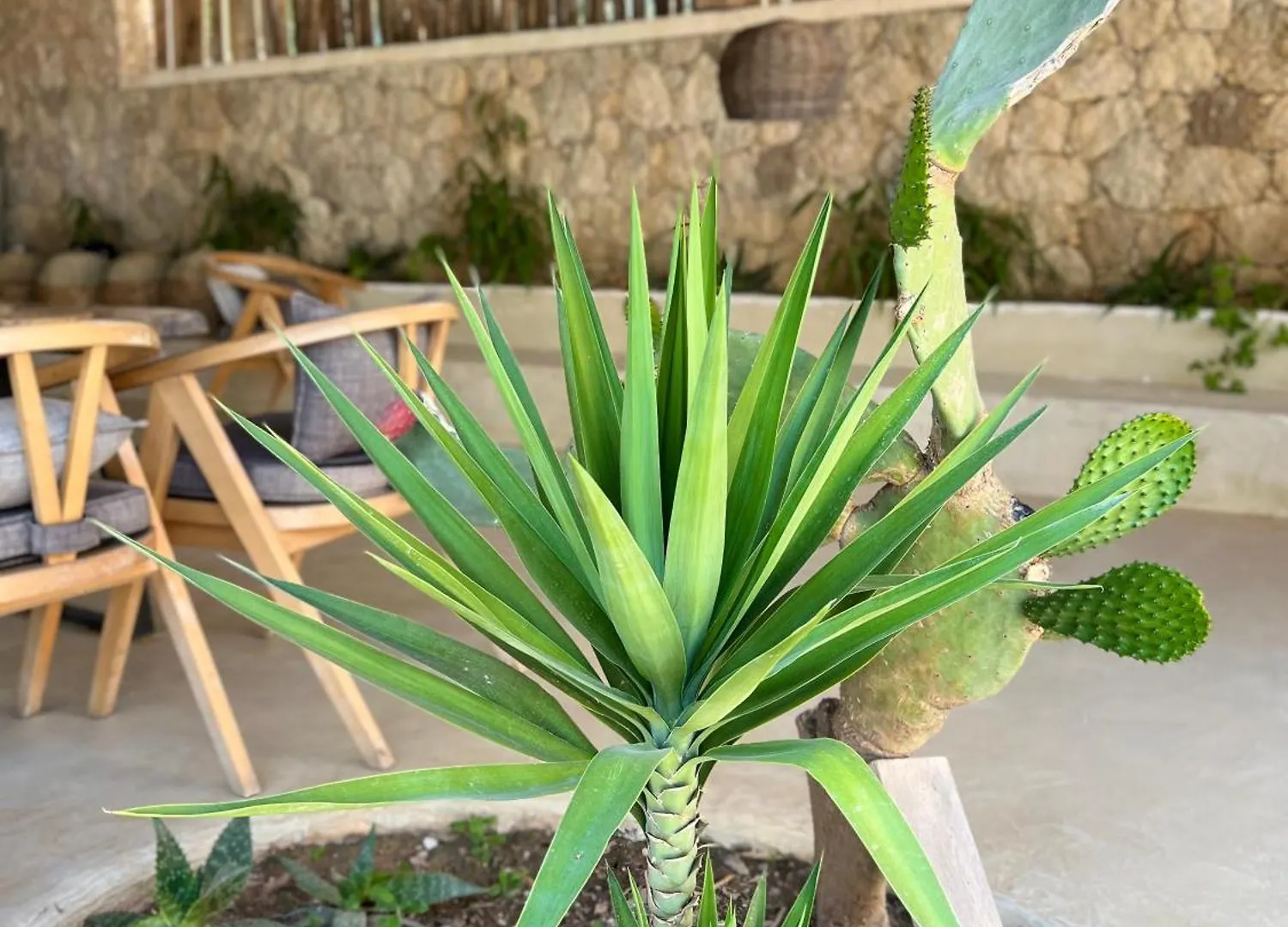 Le Reve Boutique Hotel Dhërmi